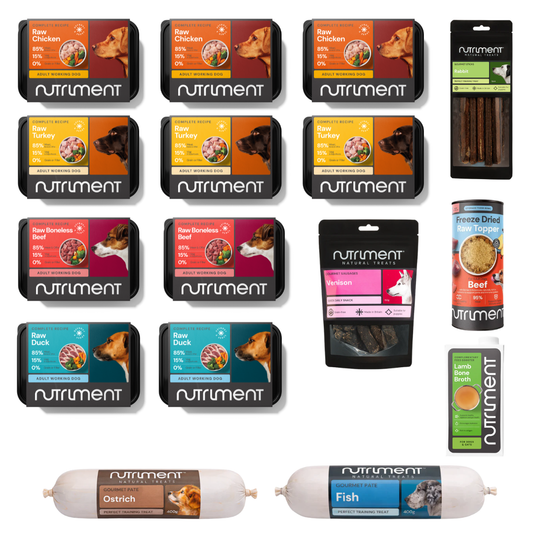 Dog Dad Feast Bundle—premium raw packs, treats & rolls in rows. Perfect Father’s Day dog gifts.
