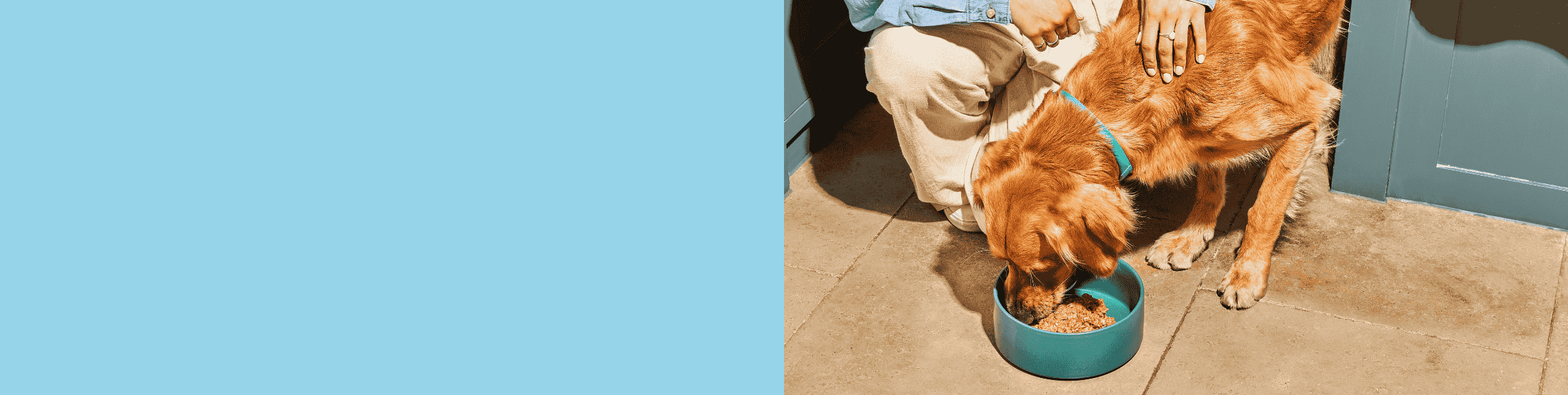 Golden retriever eating from a blue bowl on the floor next to a person in beige pants.