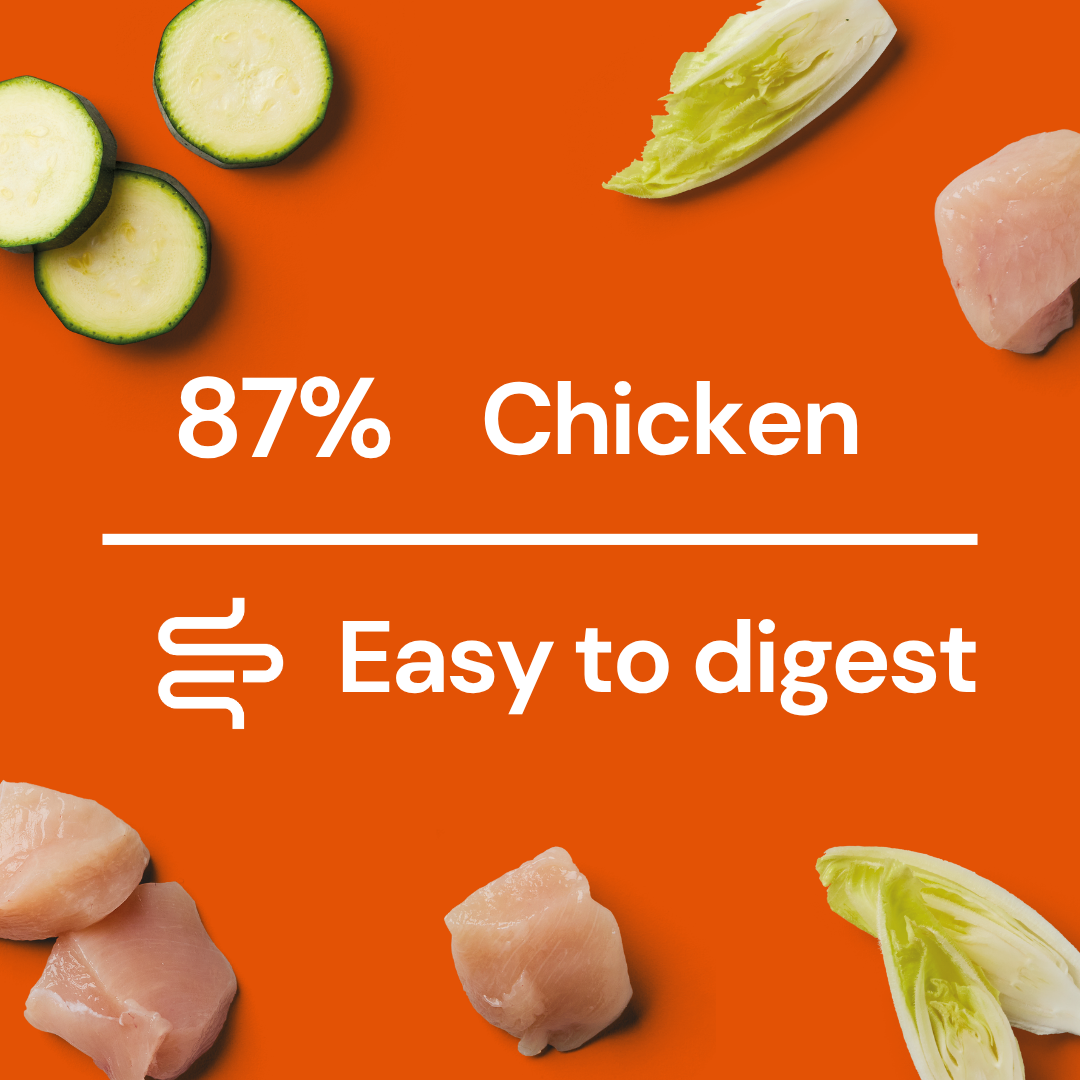 Chunks of chicken, zucchini & endive. Fresh Medallions - Chicken 800g: 87% Chicken, highly digestible dog food.