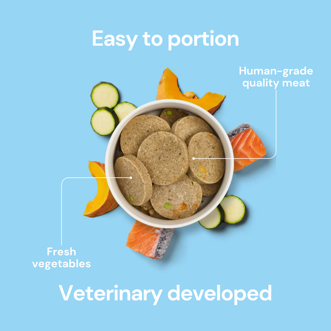 Fresh Cooked Medallions - Salmon 800g with zucchini & squash for sensitive dogs, shown on blue background.