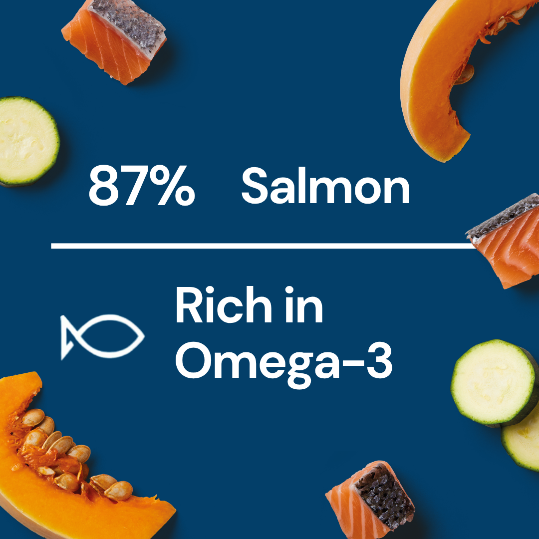 Fresh Medallions - Salmon 800g: 87% salmon, highly digestible dog food on a blue background.