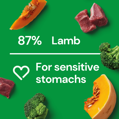 Green background, lamb, pumpkin & broccoli: "87% Lamb. Fresh Medallions - Lamb 800g for sensitive stomachs.