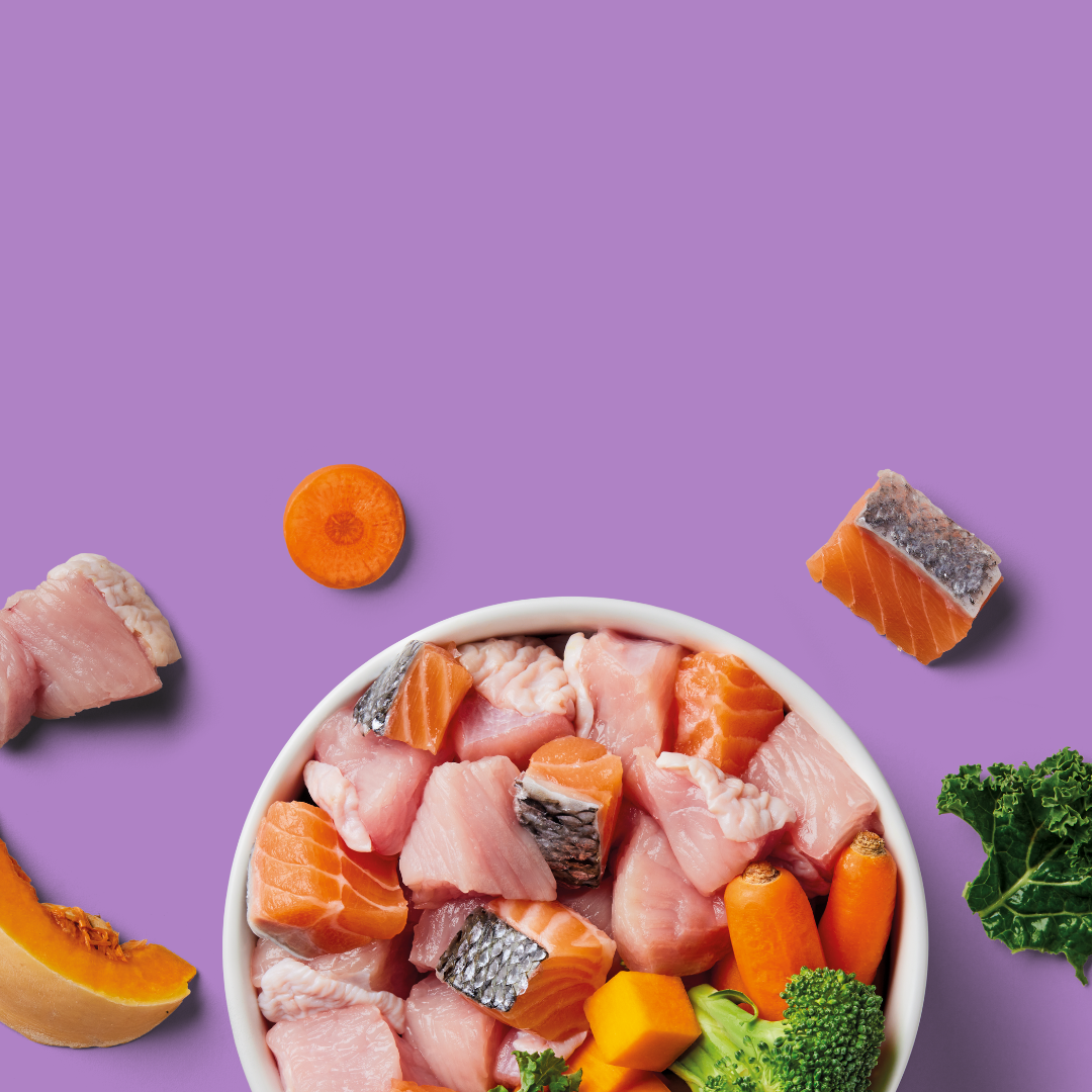 Bowl of raw salmon and chicken with carrots, broccoli, kale, and pumpkin on a purple background.