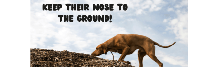 keep_their_nose_to_the_ground_actual_