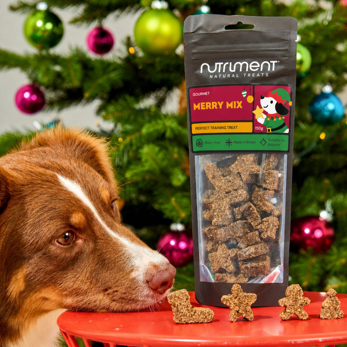 A dog looks at a Gourmet Merry Mix 150g pouch next to four festive-shaped, grain-free dog treats on a red surface.