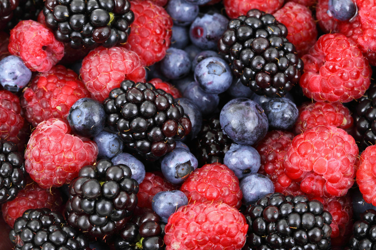 A close-up of fresh blackberries, raspberries, and blueberries mixed together.