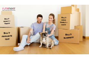 Moving house with your pet