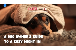 A dog owner's guide to a cosy night in...