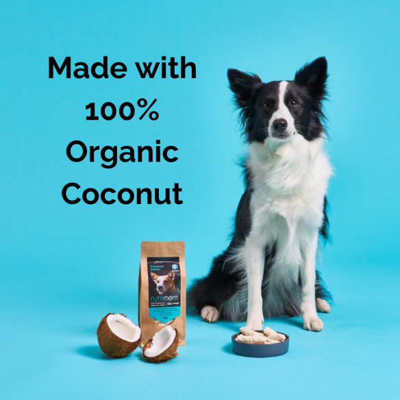Organic Coconut Sticks 500g