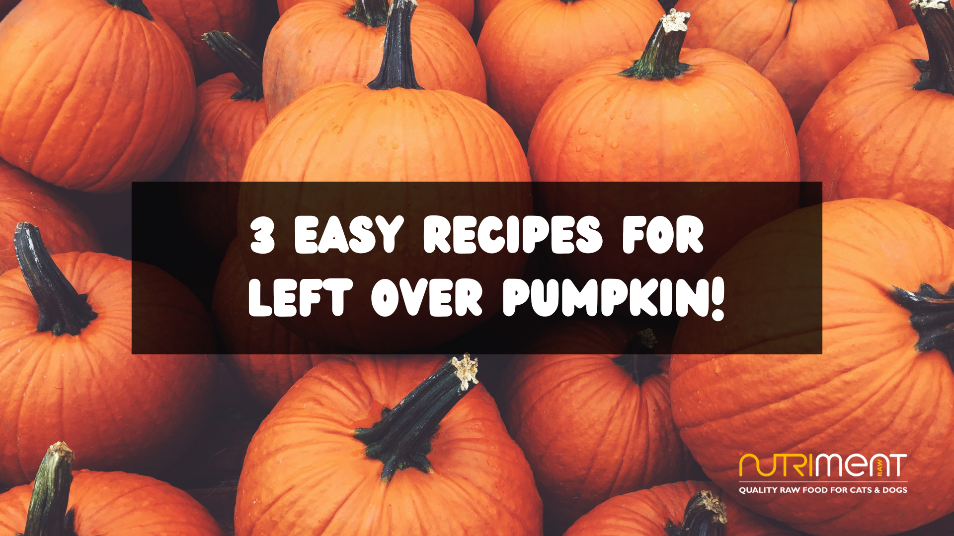 3 Easy recipes for your dog that uses left over pumpkin!