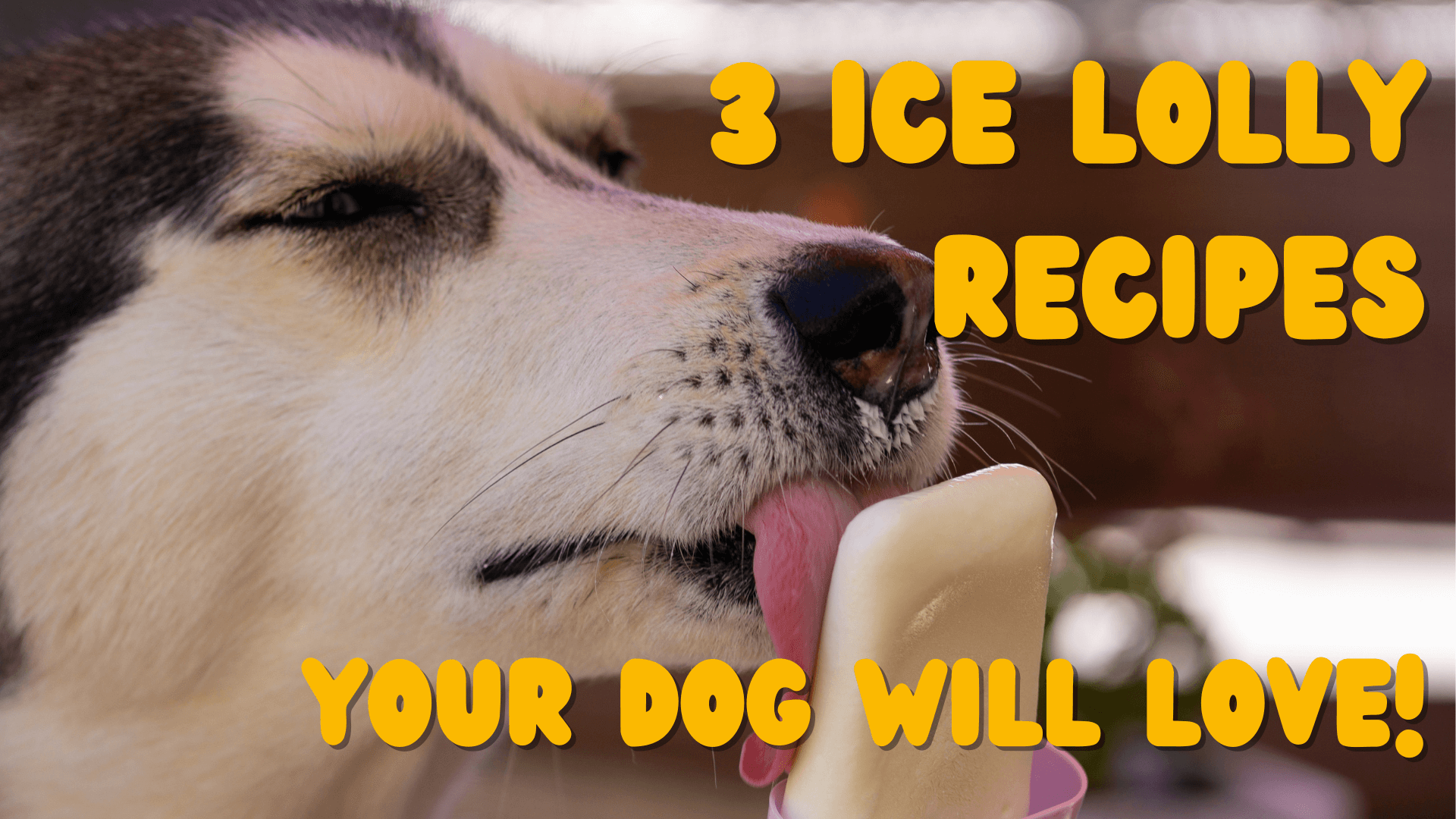 dog licking ice cream