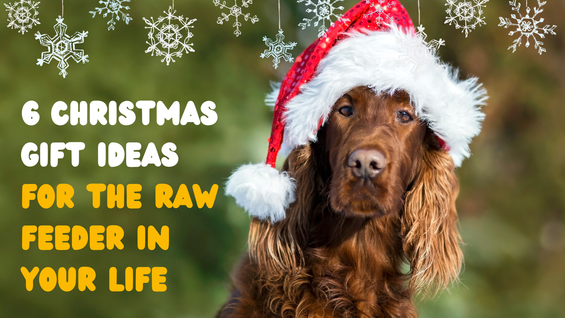 6 Christmas gift ideas for the raw feeder