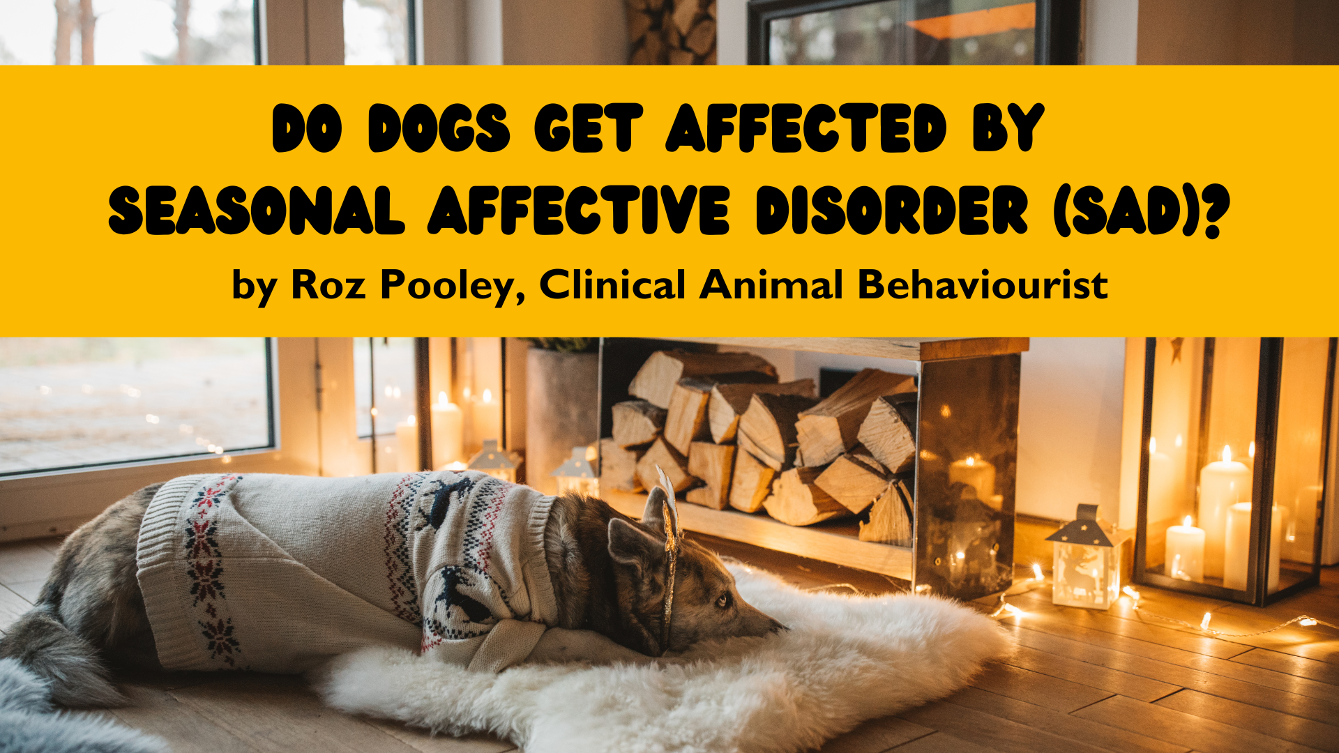 Do dogs get Seasonal Affective Disorder?