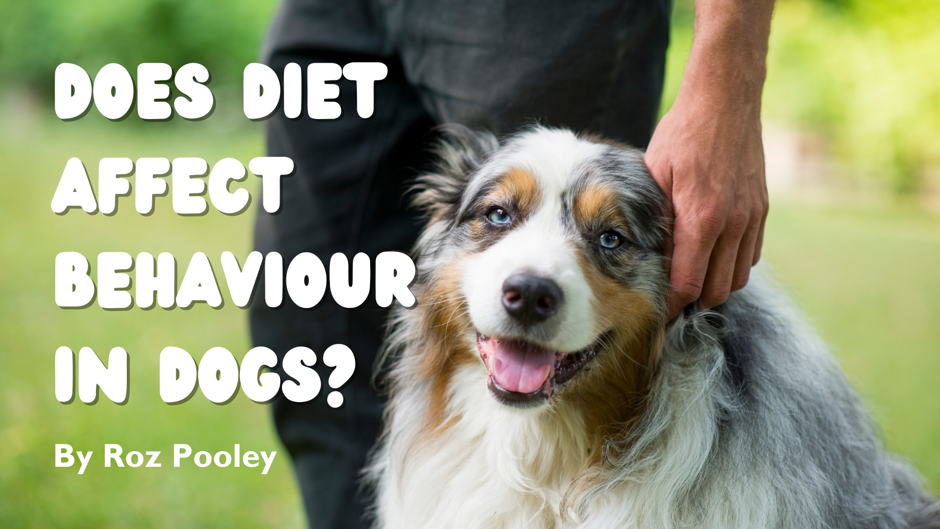 Does diet affect behaviour in dogs?