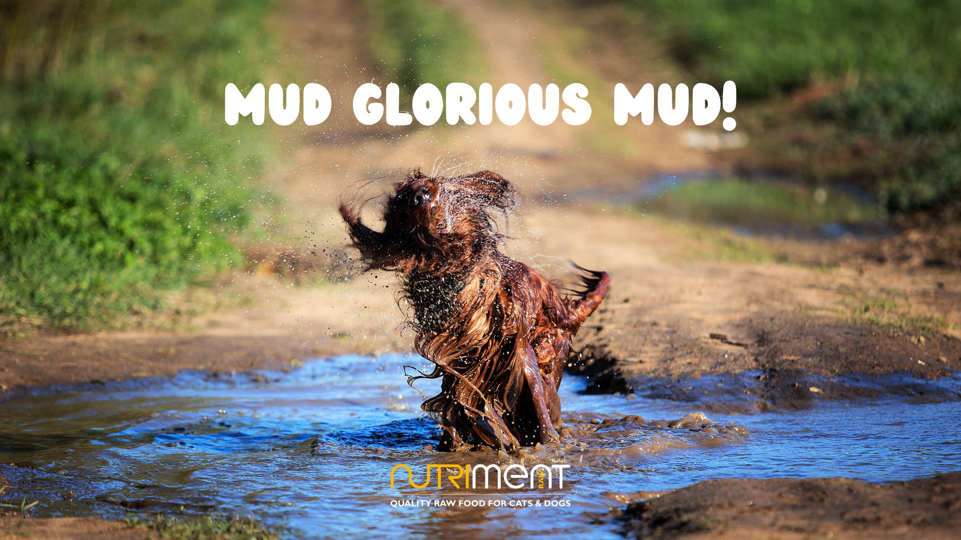 Mud, Glorious Mud!