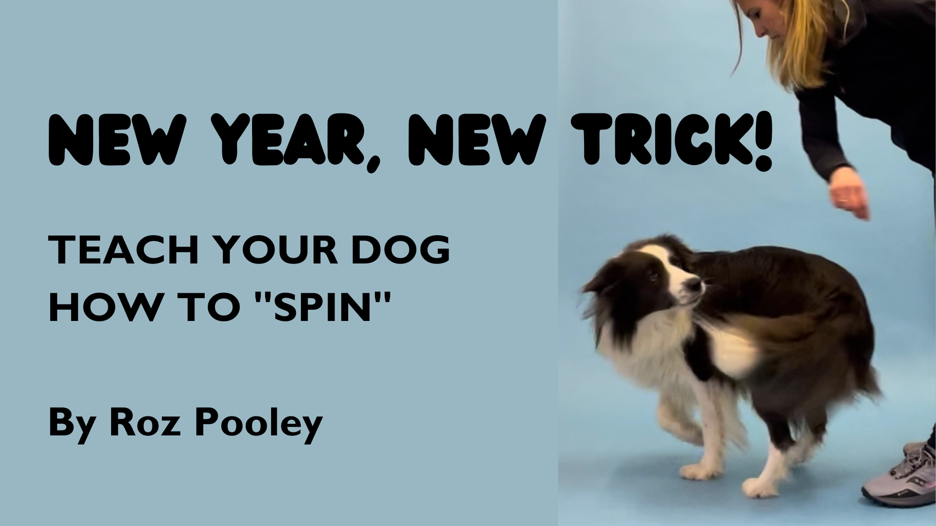 New Year, New Trick! Teach your dog "spin"!