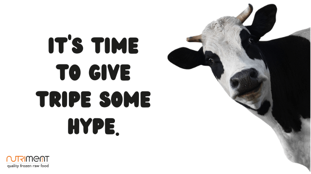 A cow with tripe slogan