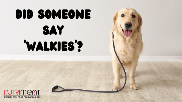 Are all dog walks created equal? Absolutely not!