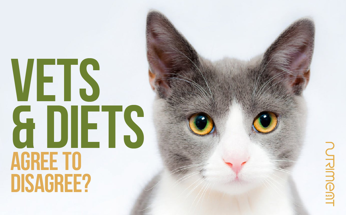 Vets & Diets – Agree to Disagree?