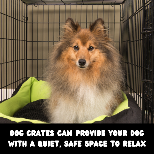 Dog_crates_can_provide_your_dog_with_a_queit_safe_space_to_relax_3_