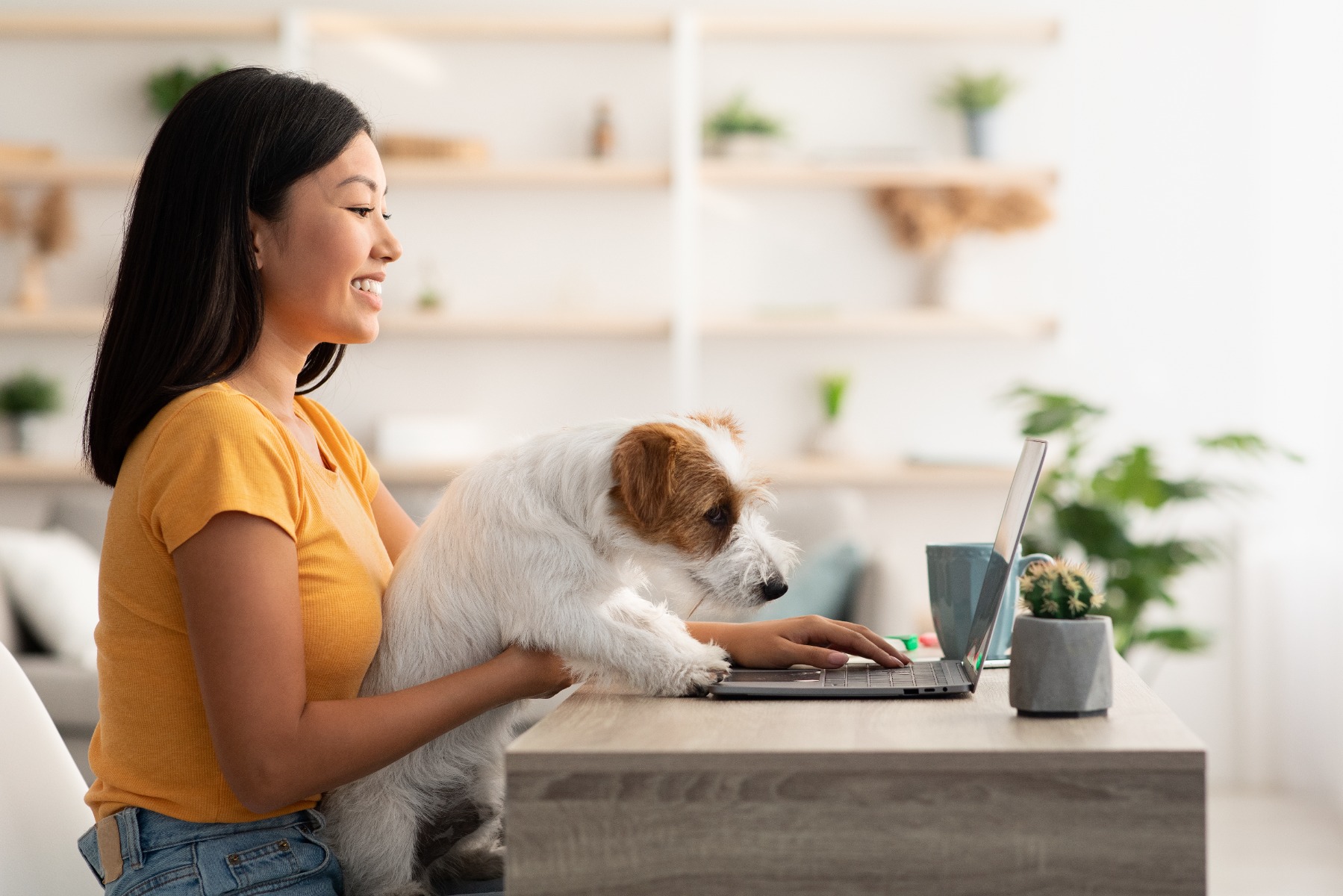 Dog and owner with laptop
