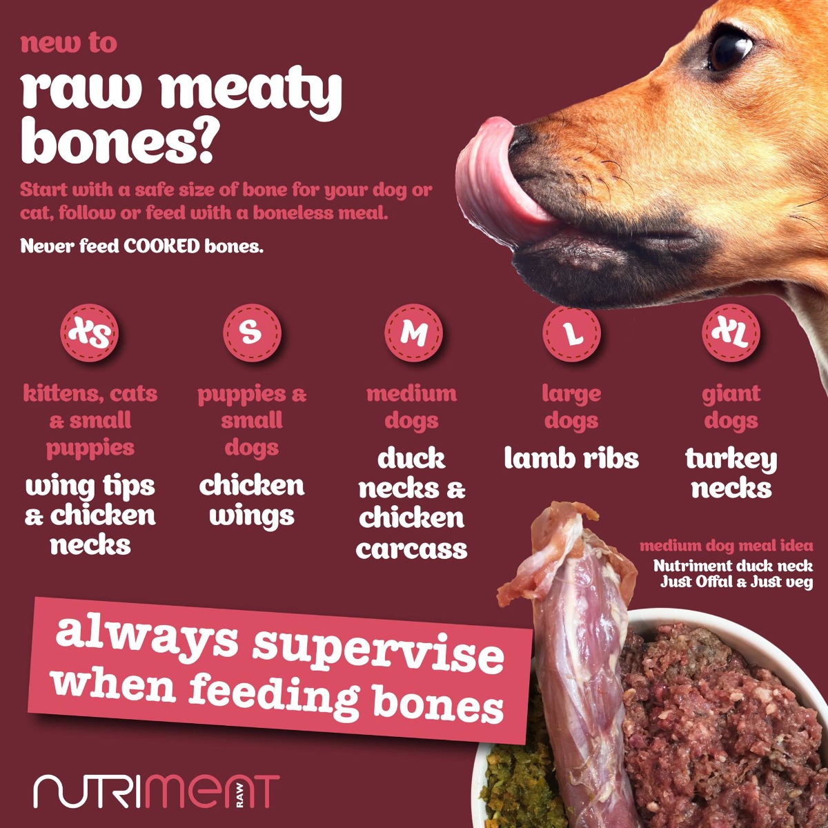can i give raw meat to my dog