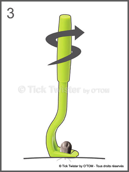 tick-twister-croquis-3